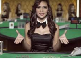 8868网页登录入口电脑免费版